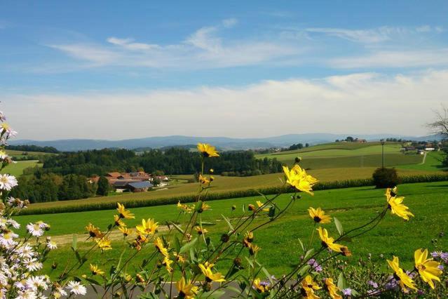 Ferienwohnung Im Bayerischen Wald Tittling Dış mekan fotoğraf